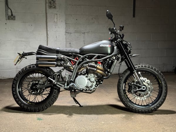 DGR 2025 - The CCM Maverick